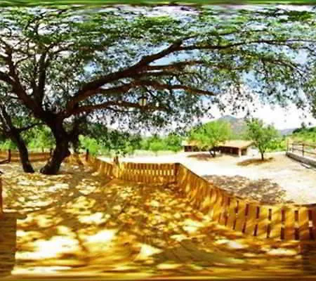Akkaya Garden Dalyan
